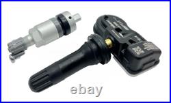 NEW 10 PACK Bartec RS-2000-10 RITE-Sensors Both Rubber+ Metal Valve Stems TPMS